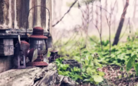 再完美的人生职业规划，都敌不过这两个字