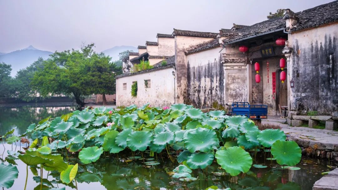 形容天气炎热的成语（烈日炎炎的唯美句子）