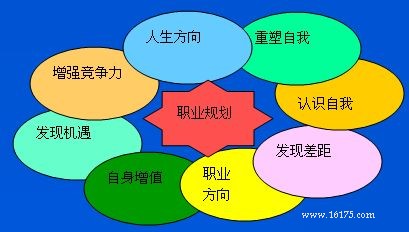 大学生职业规划课程教学大纲