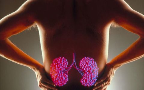 9个养肾方法令你“肾”气凌人