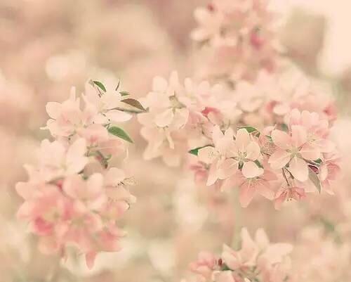 一人花开，一人花落