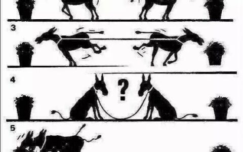 两张价值不菲的图片，看后请三思