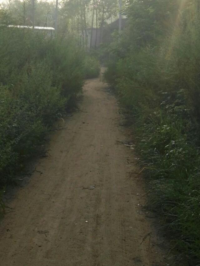 美文 分享