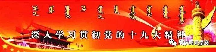 美文
