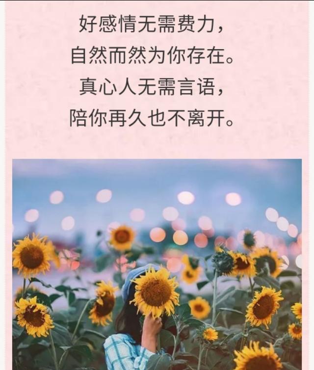 2020，懂得珍惜，才会拥有！