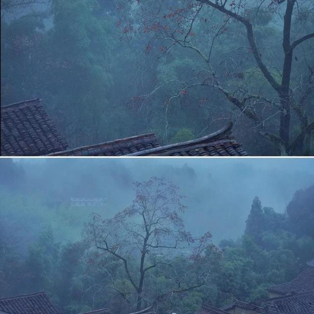 又老了一岁