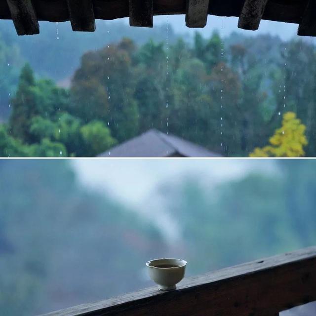 又老了一岁