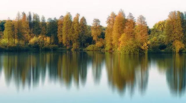 岁月弹指刹那，沧桑不掩风华