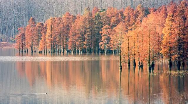 岁月弹指刹那，沧桑不掩风华