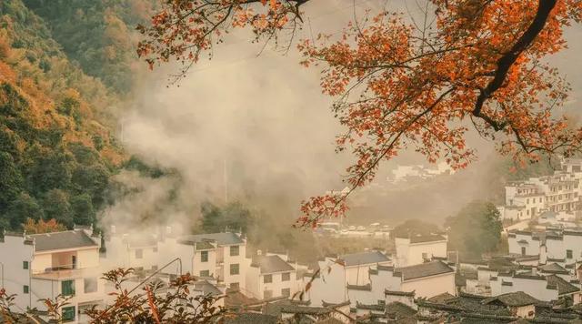 做有情的人，走幸福的路