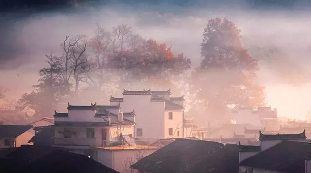 做有情的人，走幸福的路