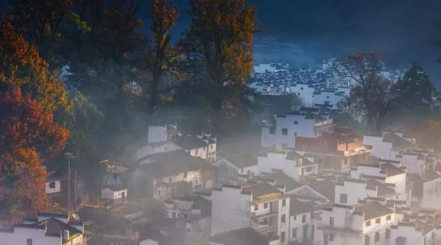 做有情的人，走幸福的路