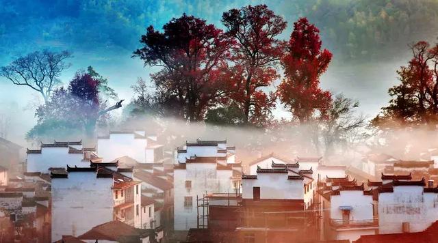 做有情的人，走幸福的路