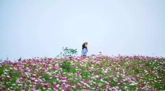 人生最美，是回眸一笑