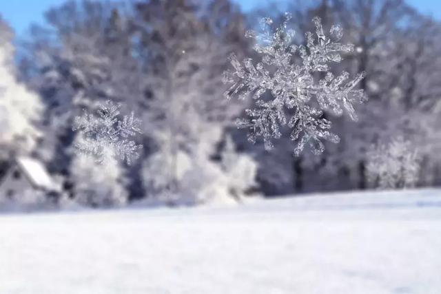 雪域 恋歌