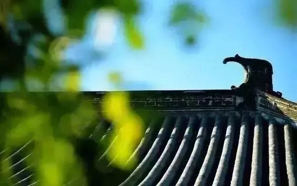 贪恋眼前浮华，不过为他朝围篱种菊