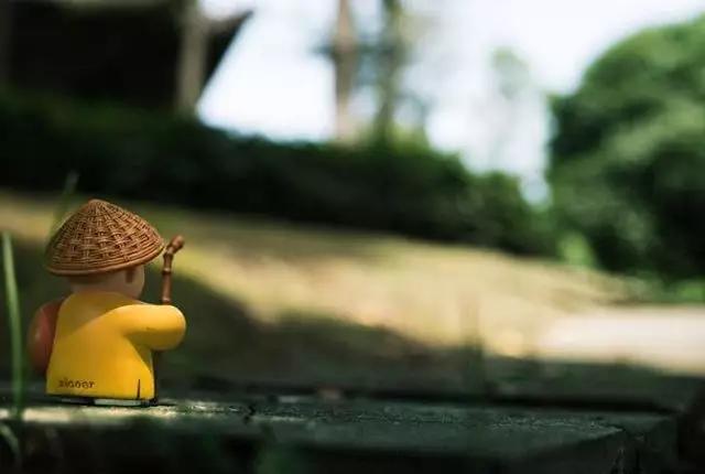 贪恋眼前浮华，不过为他朝围篱种菊