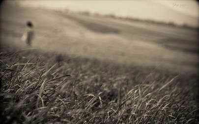 路过别人的荒芜，那里有过我种的春天