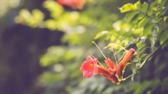 问题若是出在自己，嫁娶谁结果都一样