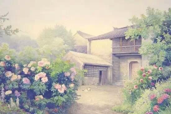 太作，注定没人疼惜