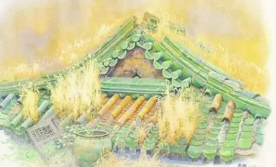 太作，注定没人疼惜