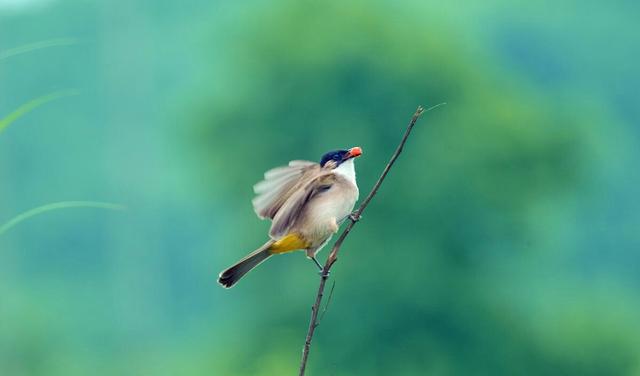 卸下多余的压力，让努力轻松进行