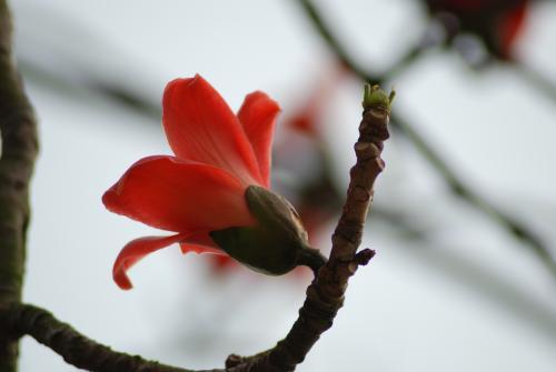 我的精彩与你无关