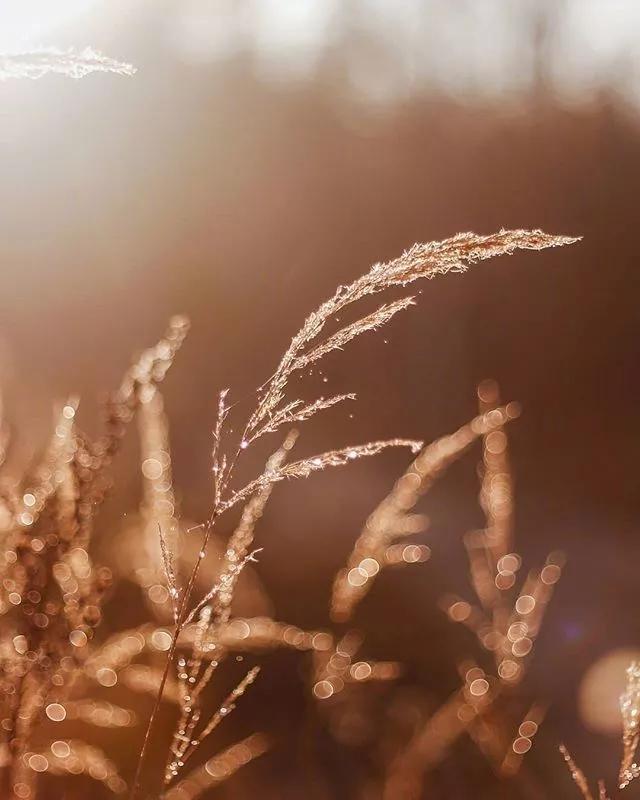 有的事愣愣分不清