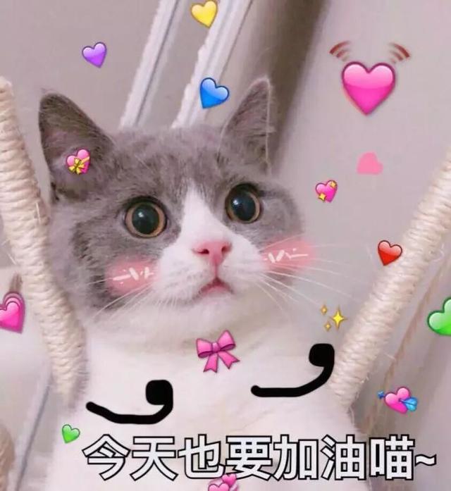 又逢一年求职季 ，这些招聘会和求职技巧要知道！