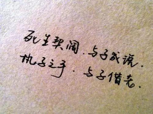 写得这么好看，拿去发朋友圈，肯定好多赞
