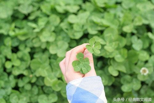 旖旎岁月——缤纷流年