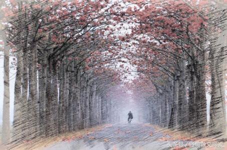 散文欣赏―那年木棉朵朵