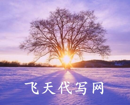 代写实习报告：抓住重点很重要