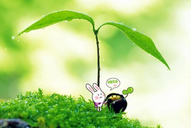 职场老油条总结的十个自我介绍方法，学会了终生受益