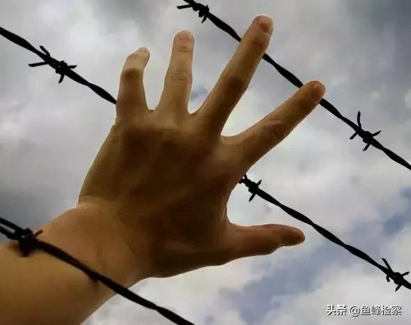 才出校门便进牢门，这组毕业生求职故事成“反面教材”！