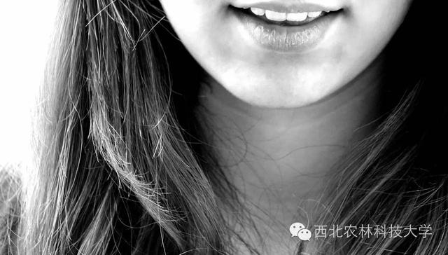 「求职故事」罗艳君：罗小妞求职记
