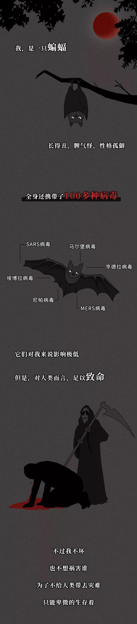 一只蝙蝠的自述在朋友圈火了：千万不要再吃野味了