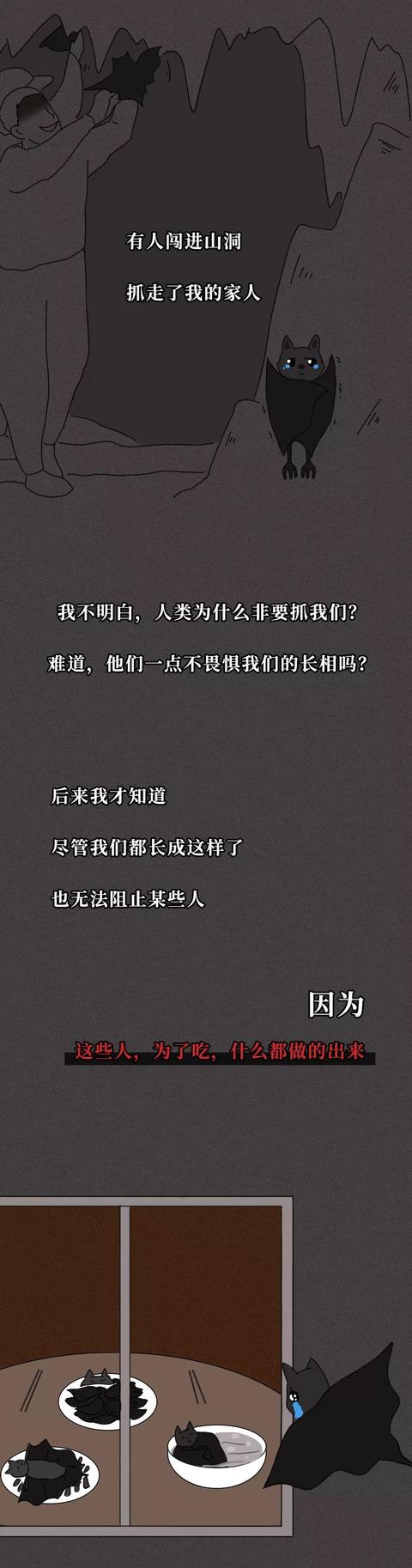 一只蝙蝠的自述在朋友圈火了：千万不要再吃野味了