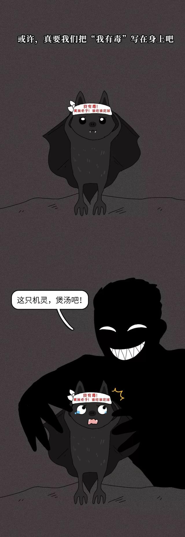 一只蝙蝠的自述在朋友圈火了：千万不要再吃野味了