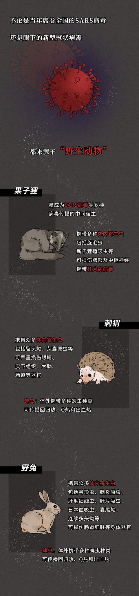 一只蝙蝠的自述在朋友圈火了：千万不要再吃野味了