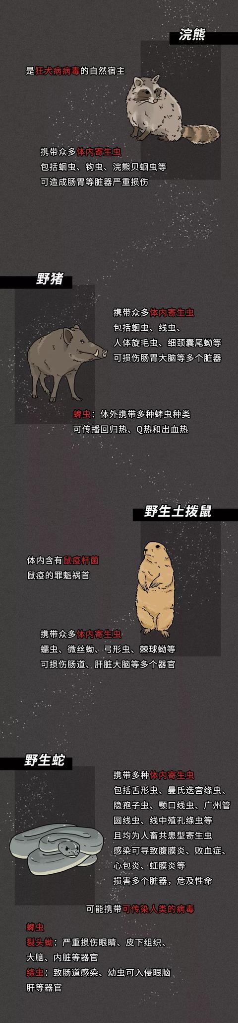 一只蝙蝠的自述在朋友圈火了：千万不要再吃野味了