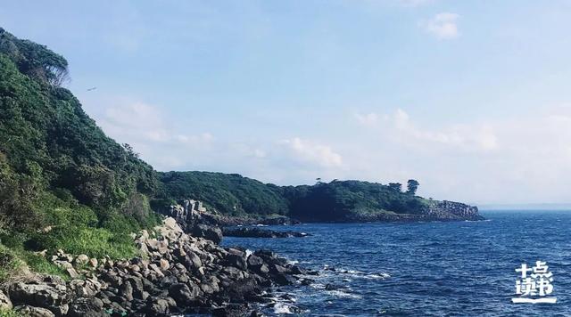 《你当像鸟飞往你的山》：我没有原谅你，我只是放过了自己