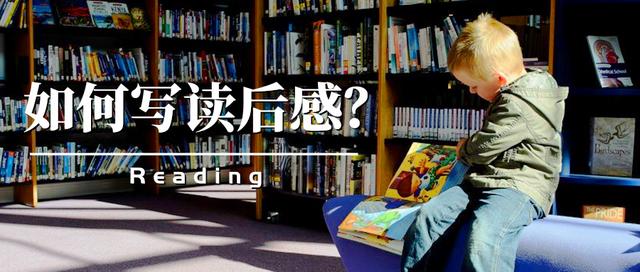 暑假每天都要写读后感，比登天还难怎么办？