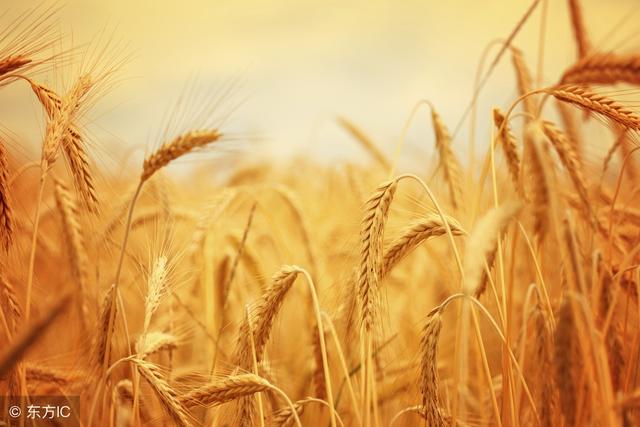 8个职场微故事，换个角度看人生