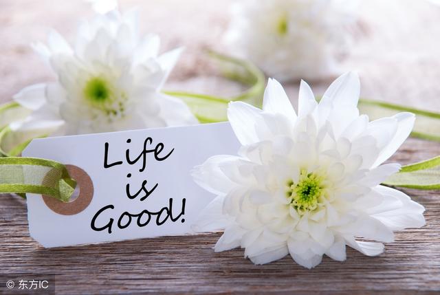 职场故事：每一个努力向上的人都值得拥有好的生活