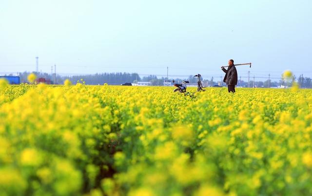春天，春暖花开的美丽季节