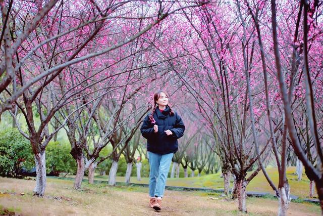 春天，春暖花开的美丽季节