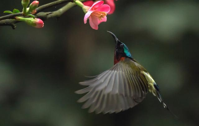 春天，春暖花开的美丽季节