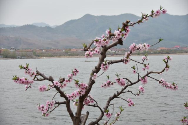 春天，春暖花开的美丽季节