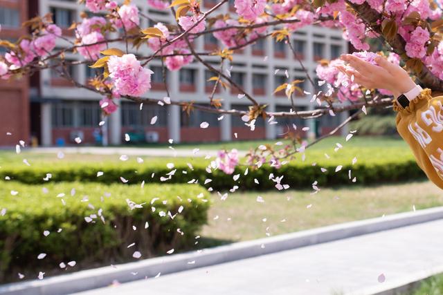 春天，春暖花开的美丽季节